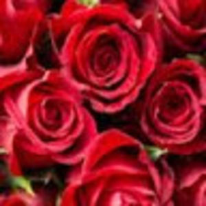 Meet your Posher, Faith